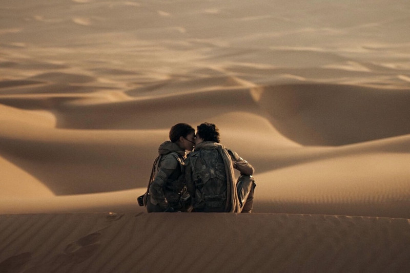 <p>Fotograma de <em>Dune 2</em>. (Denis Villeneuve, 2024)</p>