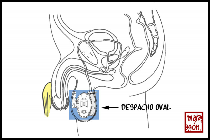 <p>Despacho oval. / <strong>Malagón</strong></p>