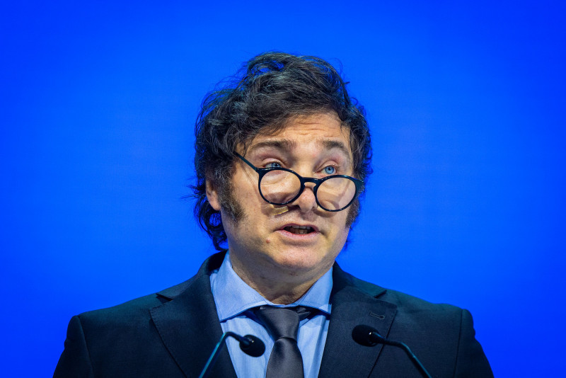 <p>El presidente argentino, Javier Milei, durante su discurso en el Foro de Davos de 2025. /<strong> Gabriel Lado (<strong>World Economic Forum)</strong></strong></p>