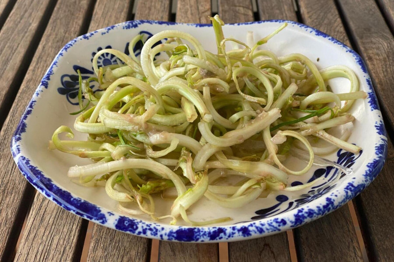 <p><em>Puntarelle</em>. / <strong>G. M.</strong></p>