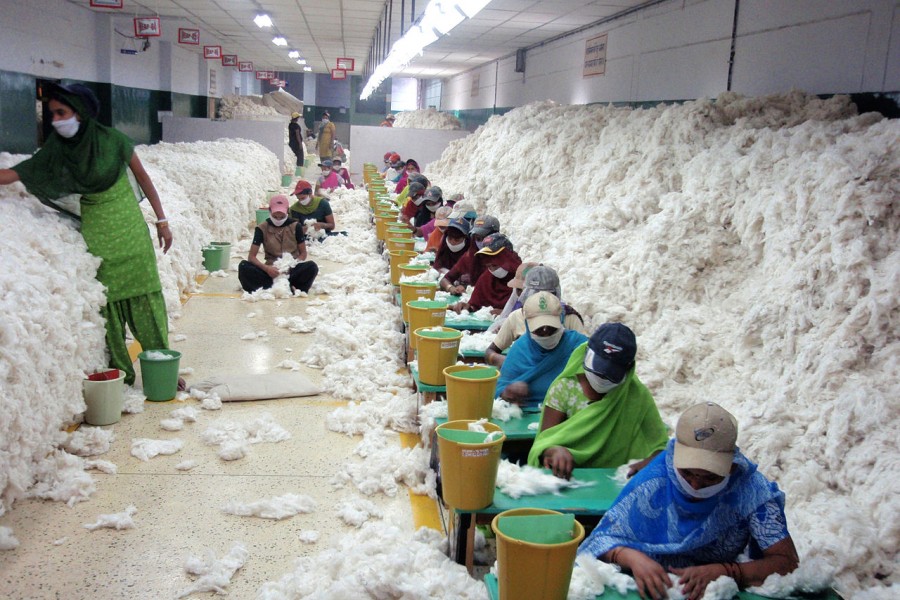<p>Descontaminación de algodón en una hilandería de India</p>
