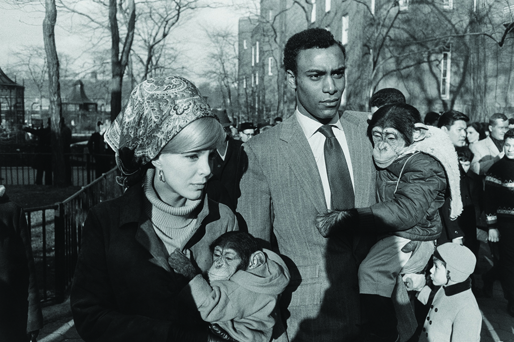 Zoo de Central Park, Nueva York, 1967. © The Estate of Garry Winogrand, cortesía Fraenkel Gallery, San Francisco.