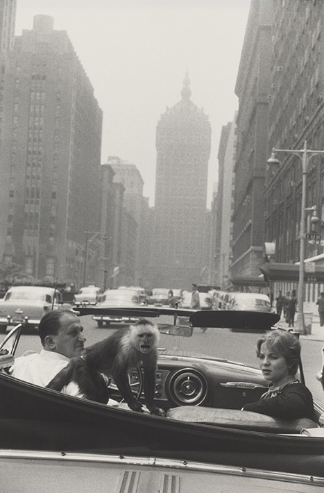 Park Avenue, Nueva York, 1959. © The Estate of Garry Winogrand, cortesía Fraenkel Gallery, San Francisco.