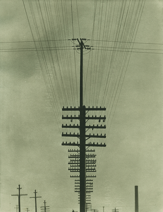 <p>Cables de telégrafo, 1925-28.</p>