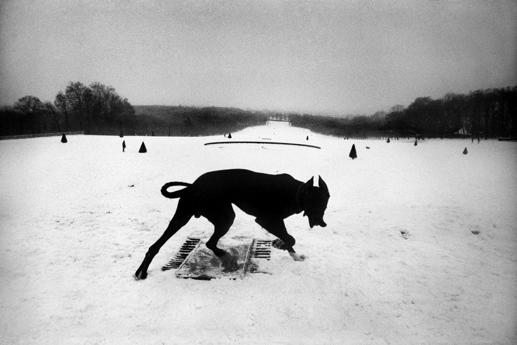 <p><strong>Francia</strong>. Hauts-de-Seine. Parque de Sceaux. 1987 <strong>© </strong>Josef Koudelka / Magnum Photos.</p>