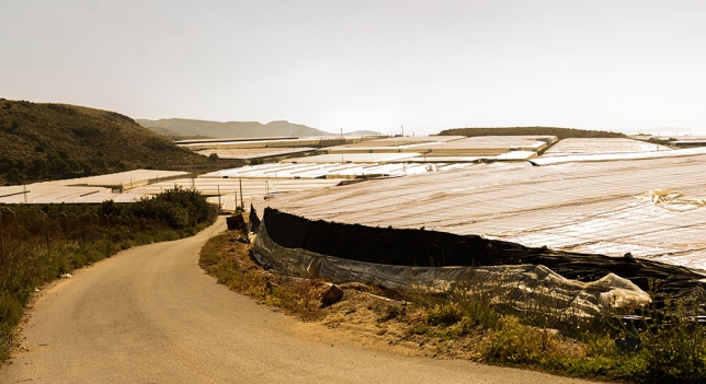 <p>Invernaderos de Almería que sirven de localización en <em>Mar de plástico</em></p>