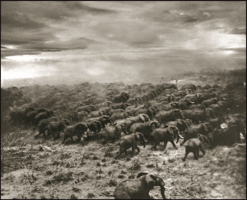 <p>Aerial Eles, 1976.</p>