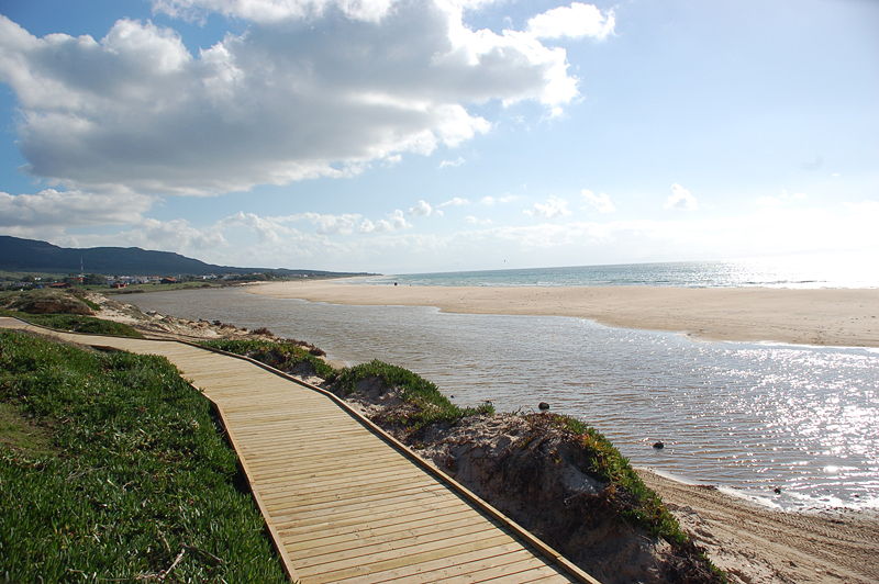 <p>Playa de Bolonia, en Tarifa, Cádiz.</p>