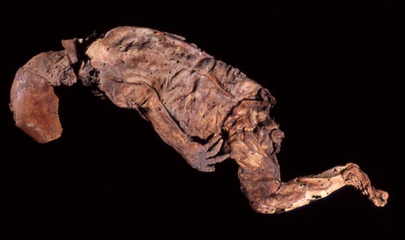 <p>Recién nacido momificado hallado en El Sauzal (Tenerife).</p>