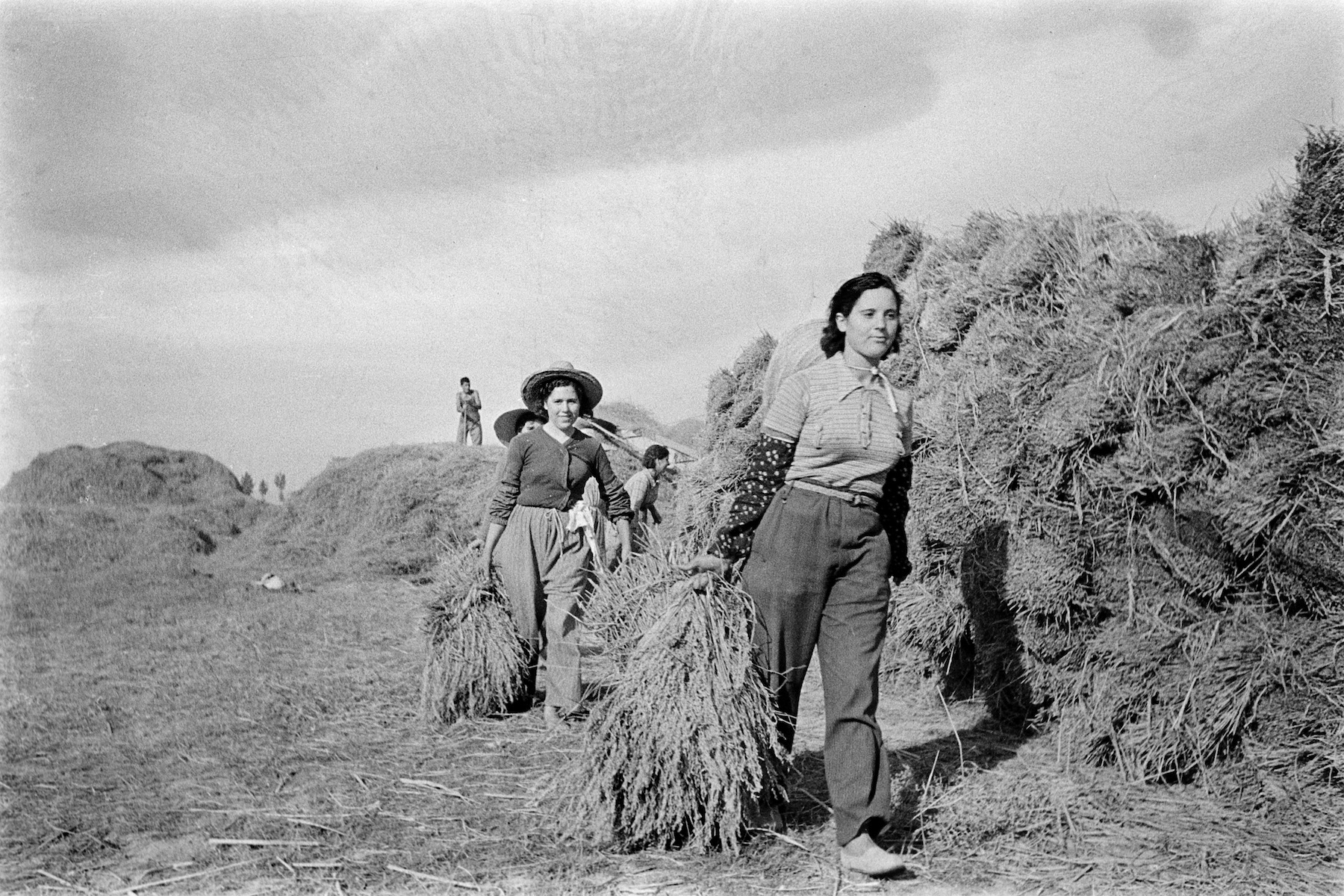 <p>Colectividad General de Amposta. 1937. Archivo fotográfico de Barcelona. </p>