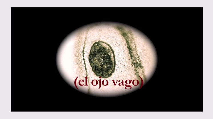 El ojo vago